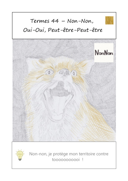 carte terme-mantras 44