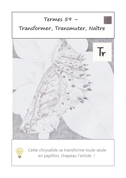 carte terme-mantras 59